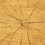 Vaigupisara saekaater KUUVALGE OÜ