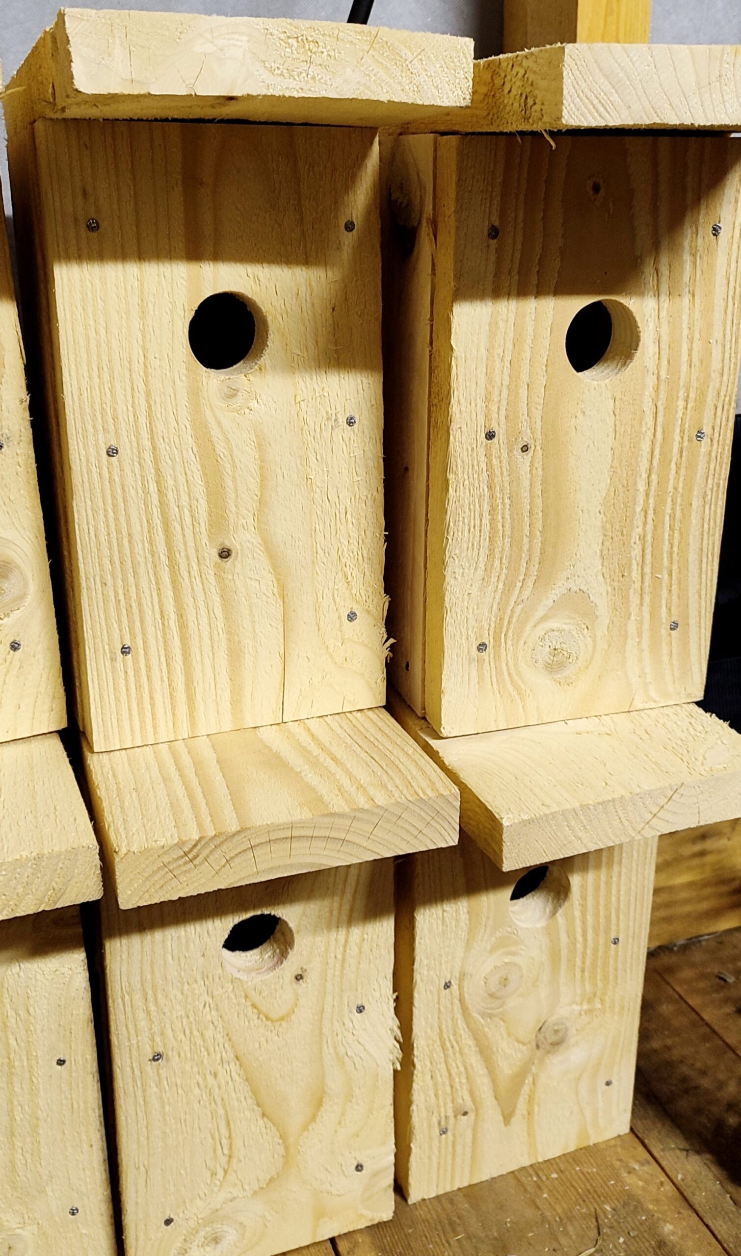 Pesakast RASVATIHANE - Image 4