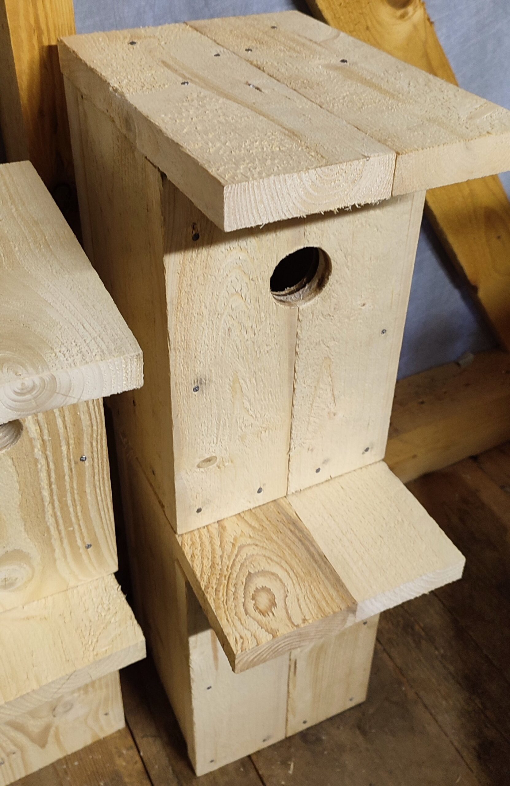 Pesakast KULDNOKK - Image 5