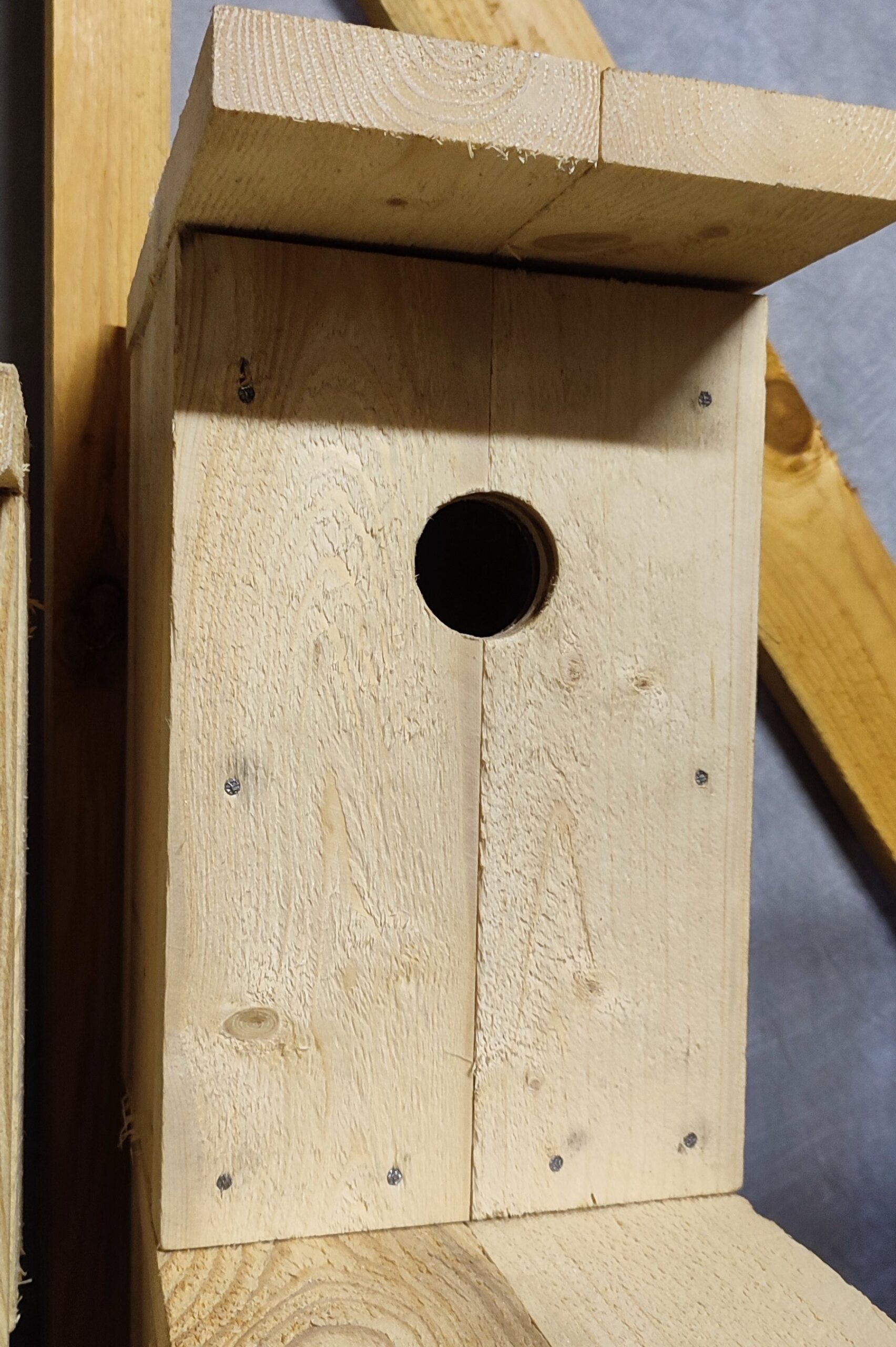 Pesakast KULDNOKK - Image 6