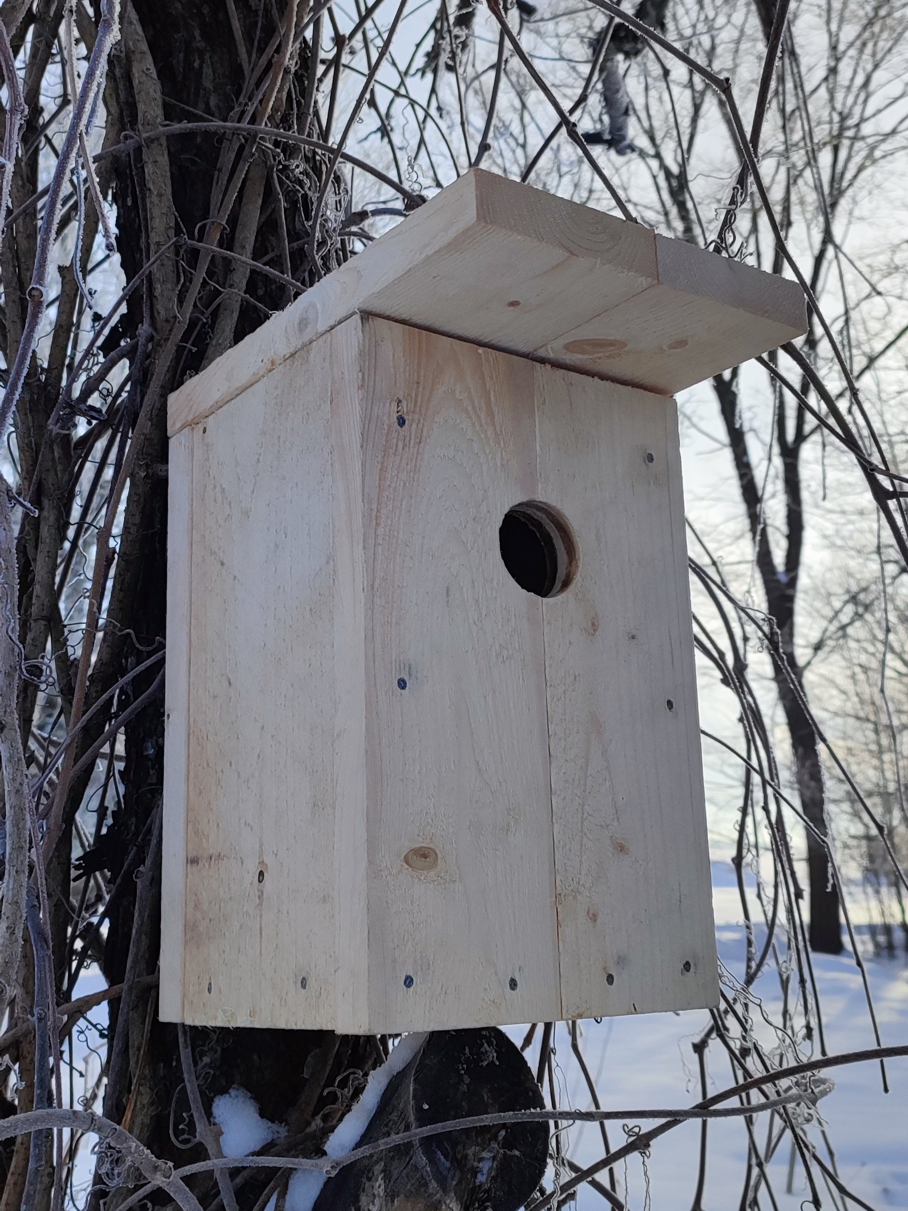 Pesakast KULDNOKK - Image 3