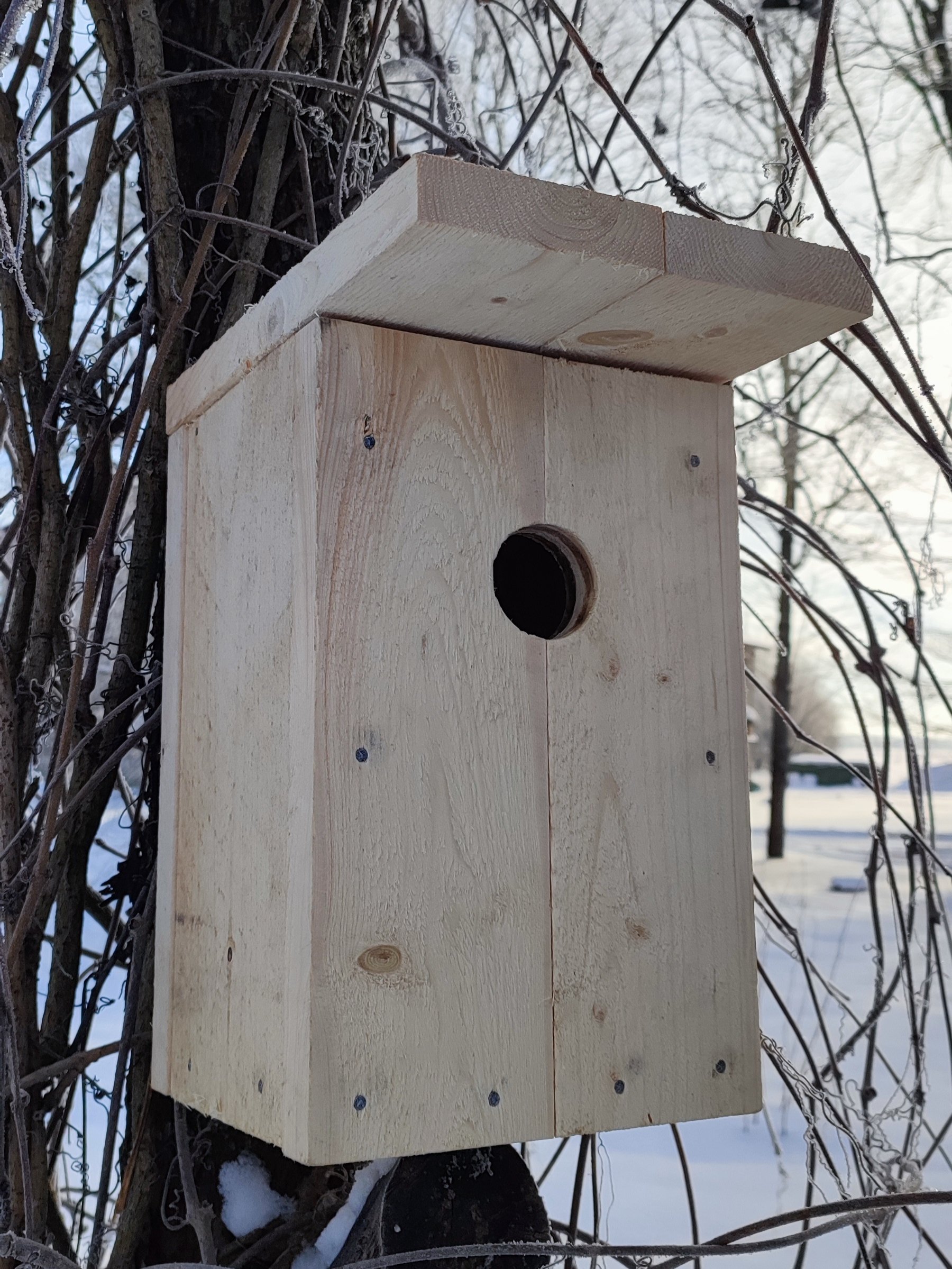 Pesakast KULDNOKK - Image 4