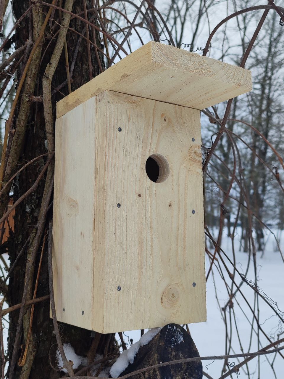 Pesakast RASVATIHANE - Image 3