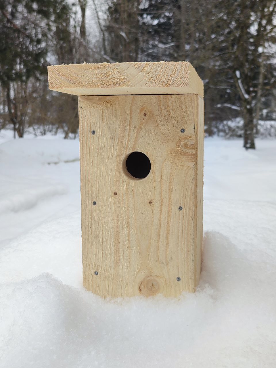 Pesakast RASVATIHANE