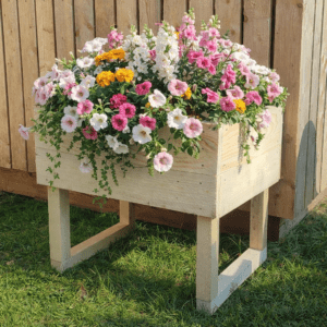 Puidust lillekast/taimekast