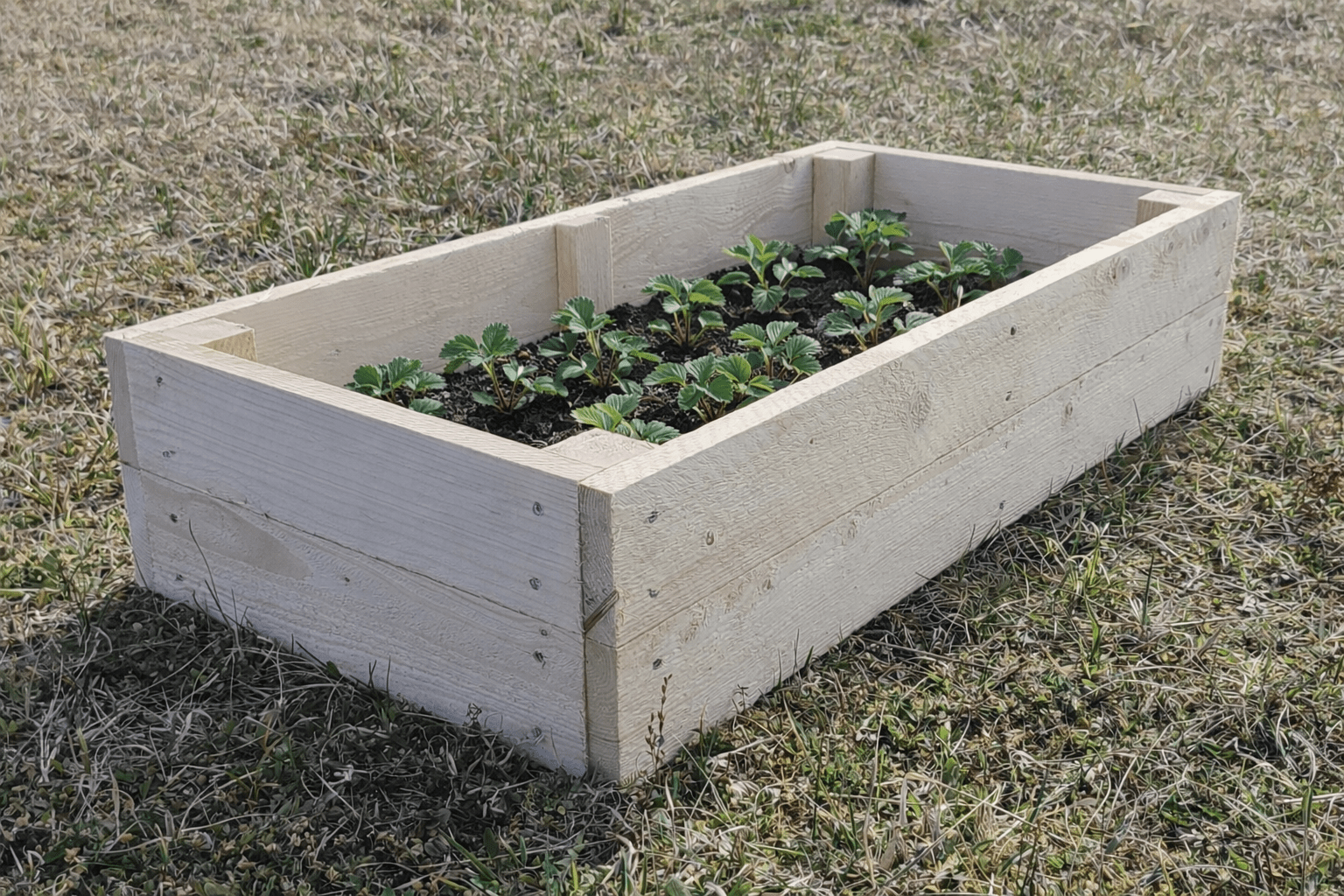 Puidust peenrakast - Image 6